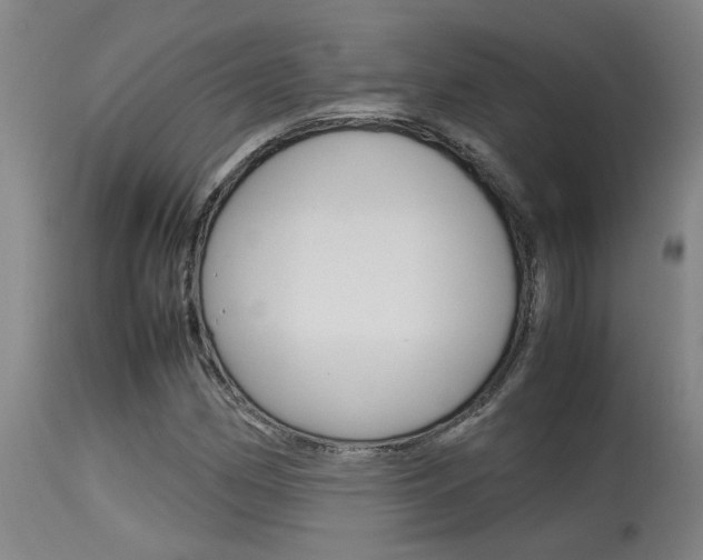 X0000115581162200911100947