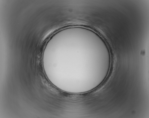 X0000115581163200911100947