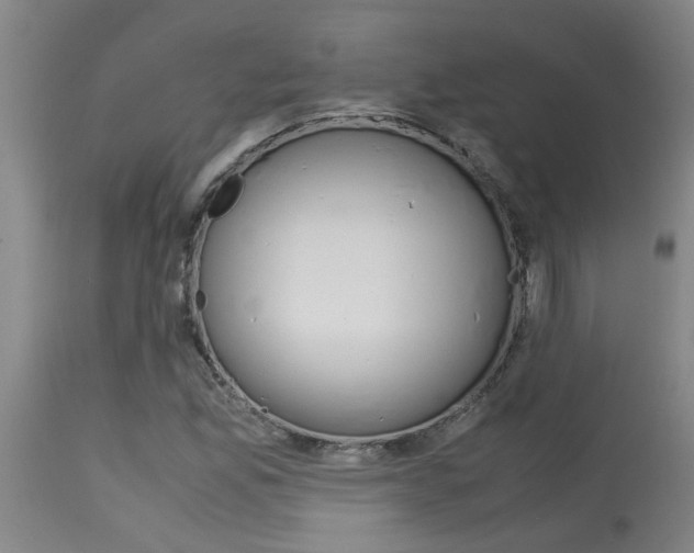 X0000115581165200911100947