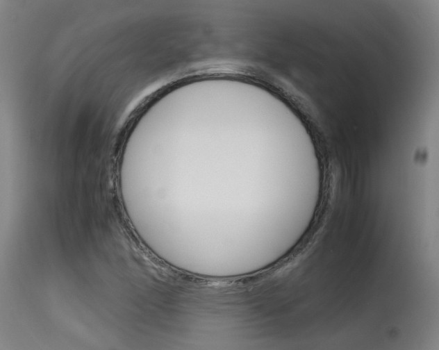 X0000115581166200911100947