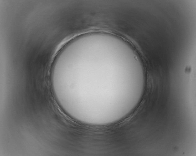 X0000115581168200911100947
