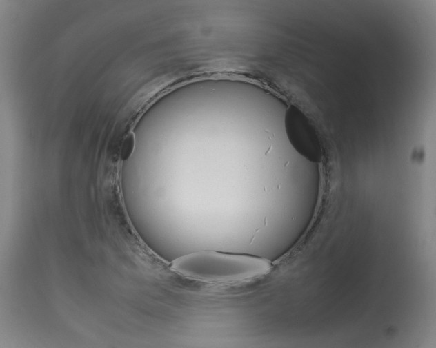 X0000115581169200911100947
