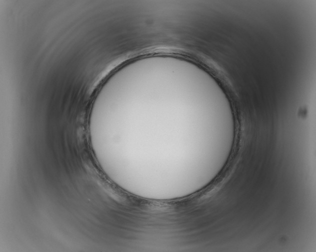 X0000115581170200911100947