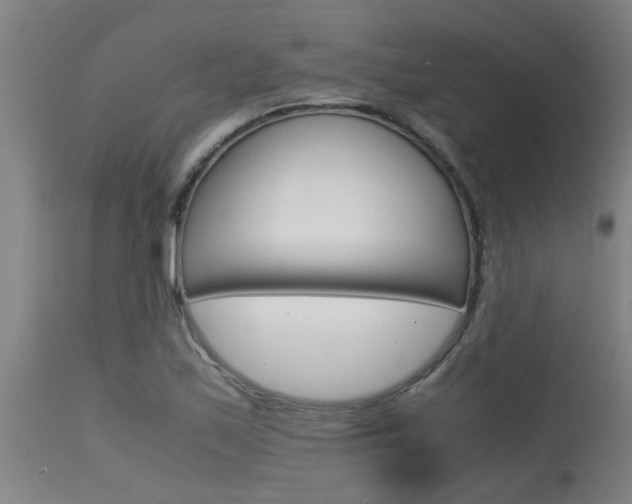 X0000115581171200911100947