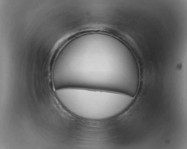 X0000115581172200911100947