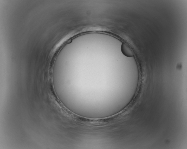 X0000115581173200911100947