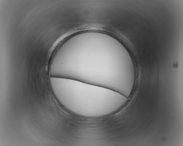 X0000115581174200911100947