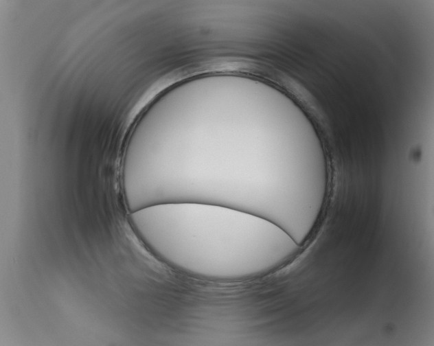 X0000115581178200911100947