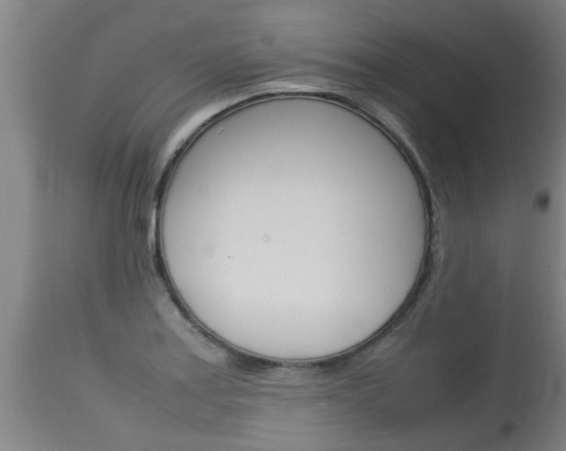 X0000115581179200911100947