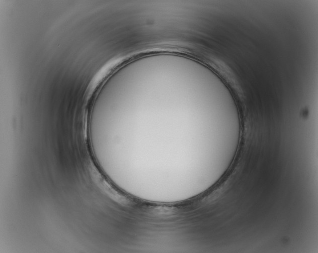 X0000115581180200911100947