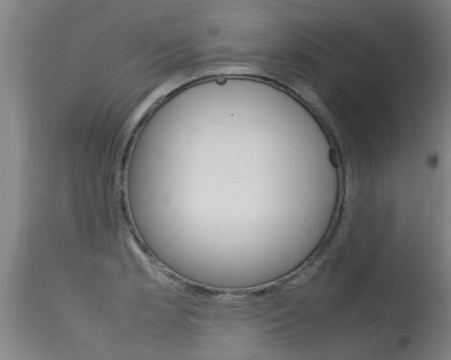 X0000115581181200911100947