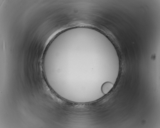 X0000115581182200911100947