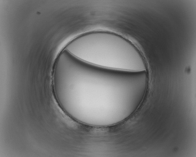 X0000115581183200911100947