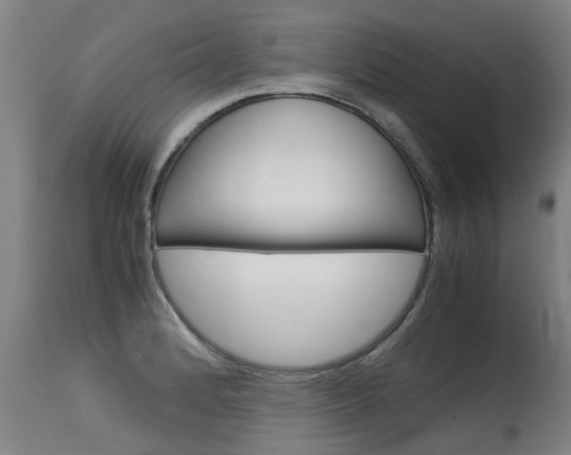 X0000115581184200911100947