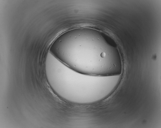 X0000115581185200911100947
