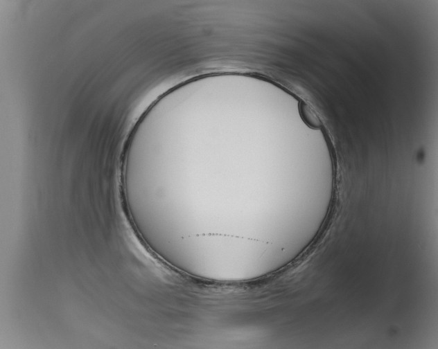 X0000115581187200911100947