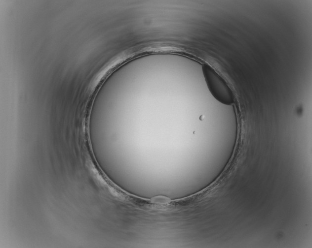 X0000115581189200911100947