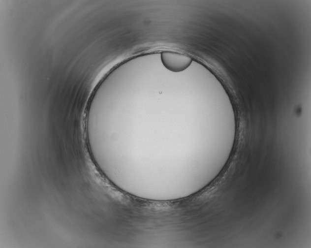 X0000115581190200911100947