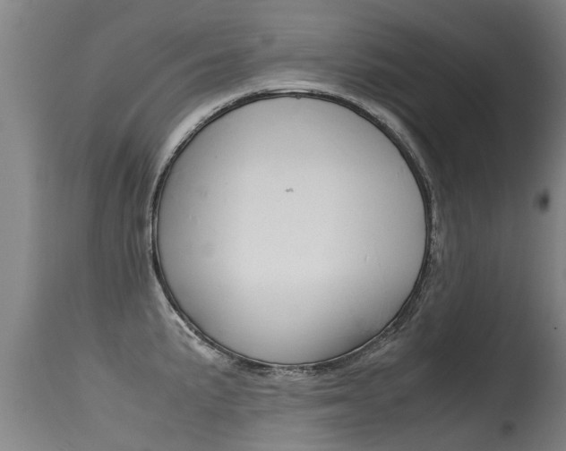 X0000115581191200911100947