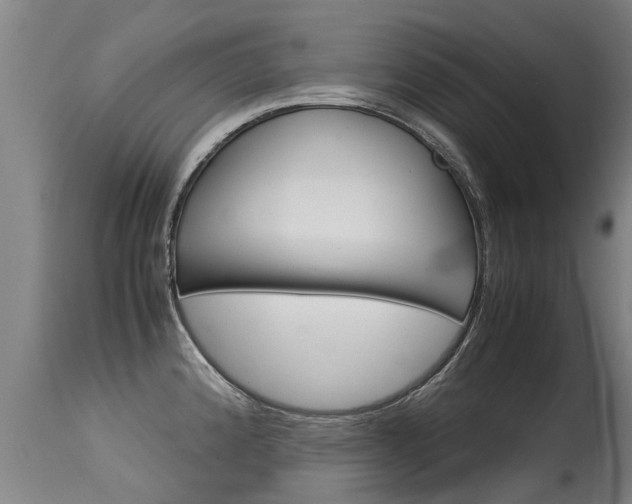 X0000115581192200911100947