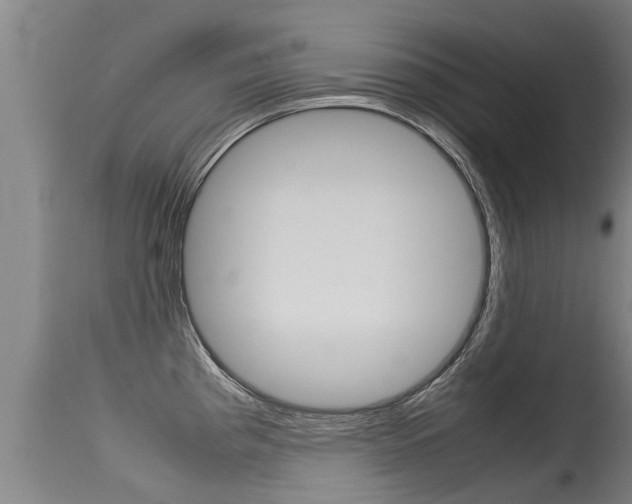 X0000115581193200911100947