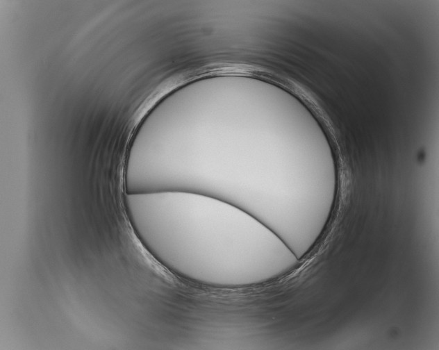 X0000115581194200911100947