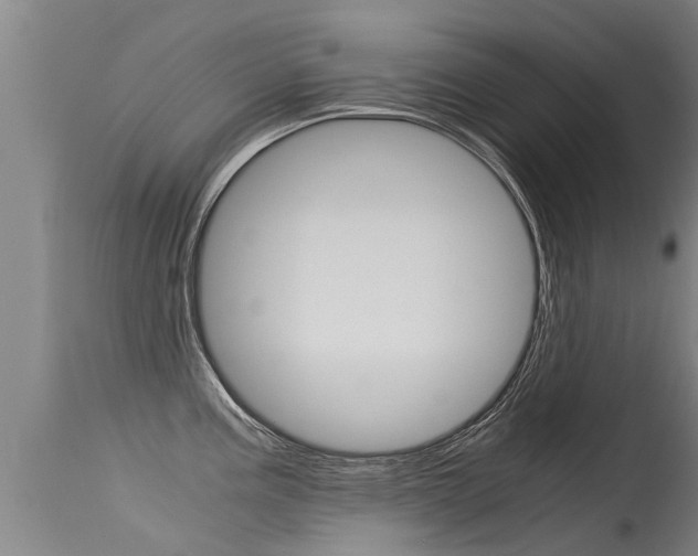 X0000115581195200911100947