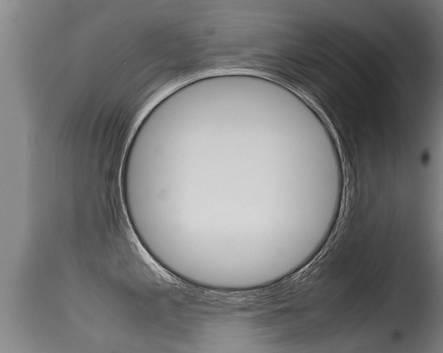 X0000115581197200911100947