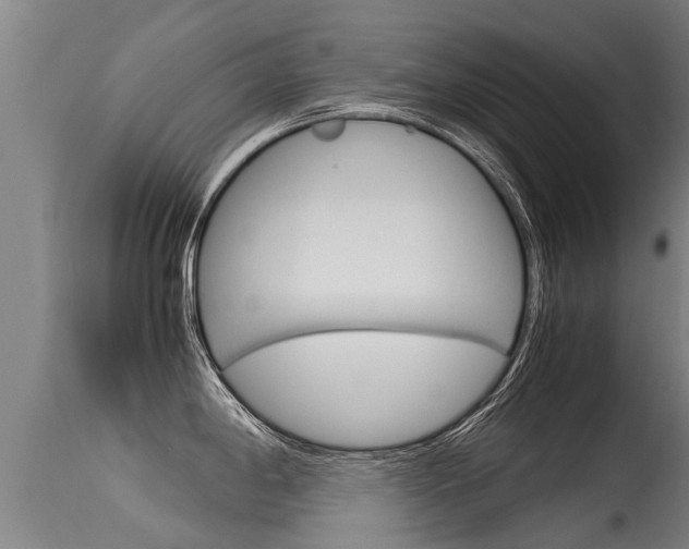 X0000115581198200911100947