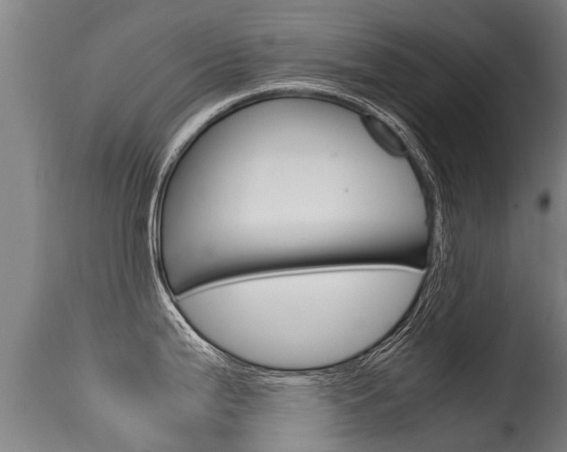 X0000115581199200911100947