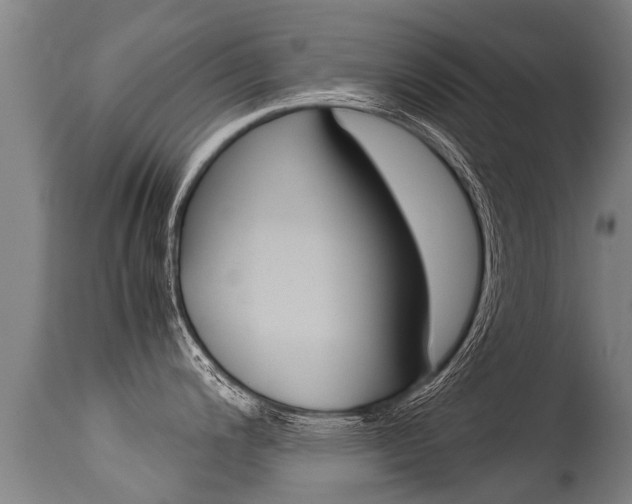 X0000115581200200911100947
