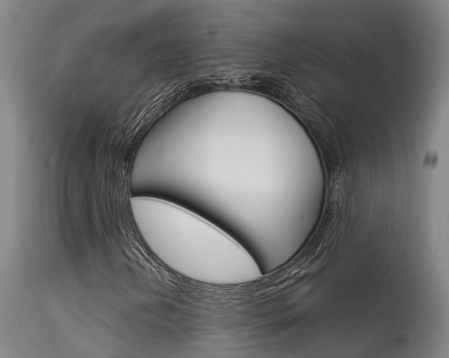 X0000115581202200911100946