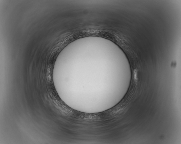 X0000115581203200911100946