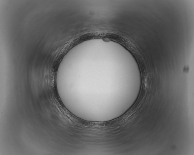 X0000115581204200911100946