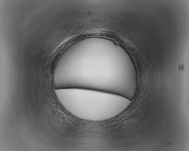 X0000115581206200911100946