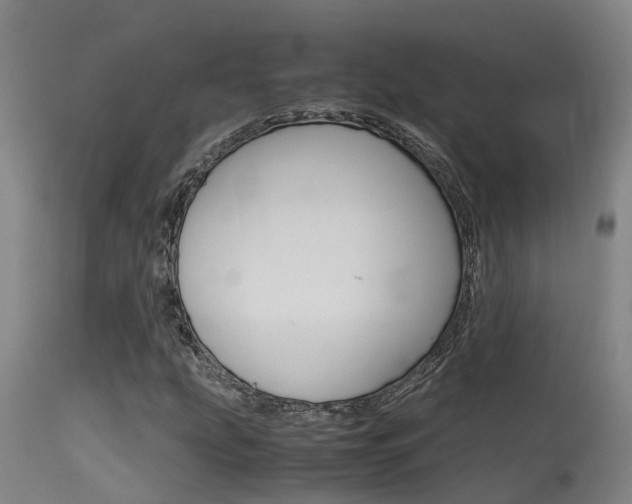 X0000115581207200911100946