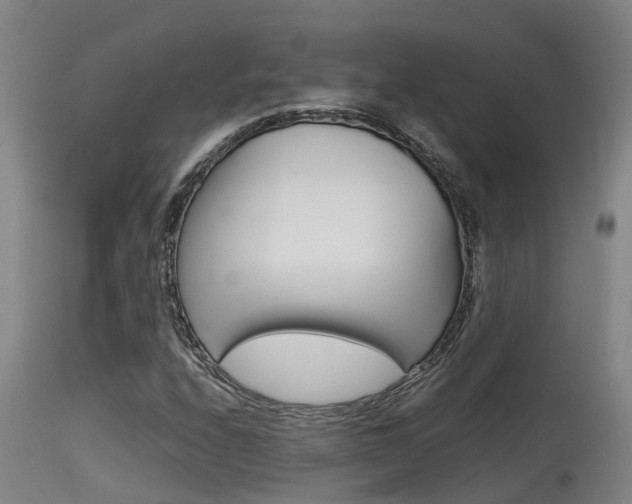 X0000115581208200911100946