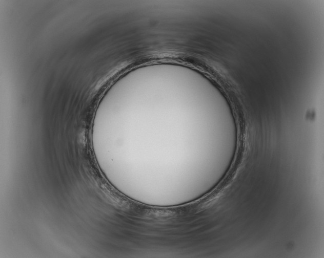 X0000115581209200911100946