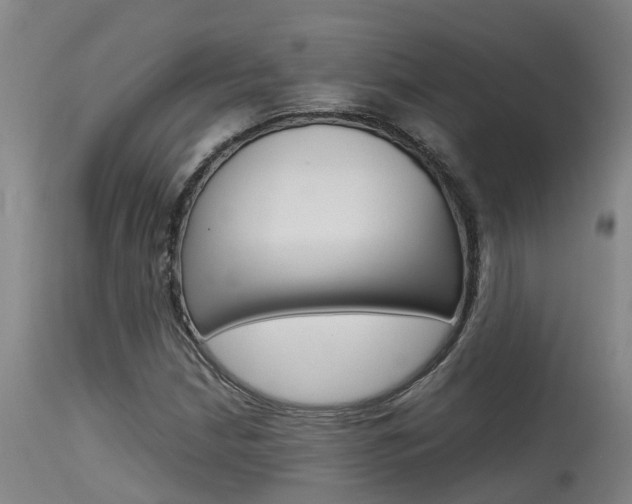 X0000115581210200911100946