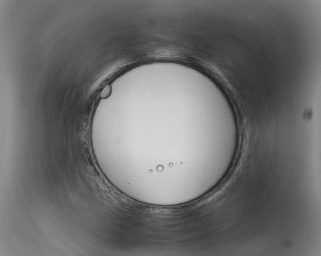 X0000115581211200911100946