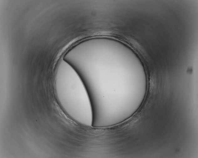 X0000115581212200911100946
