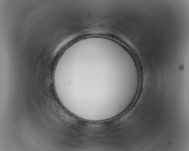 X0000115581213200911100946