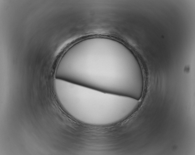 X0000115581214200911100946