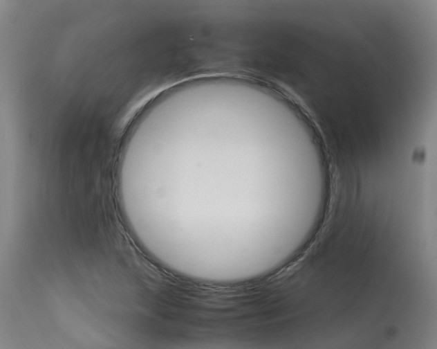 X0000115581215200911100946