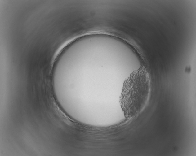 X0000115581216200911100946