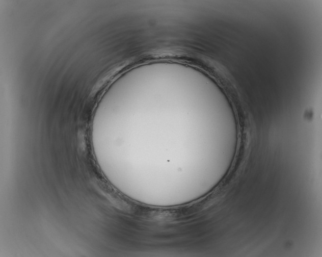 X0000115581217200911100946