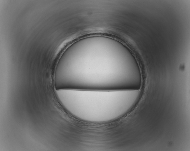 X0000115581218200911100946