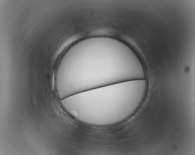 X0000115581219200911100946