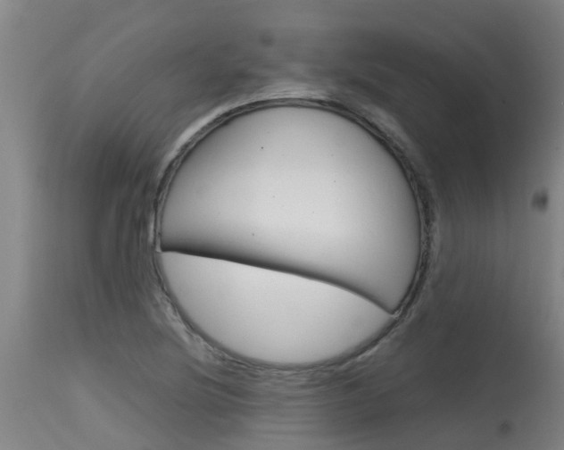 X0000115581220200911100946