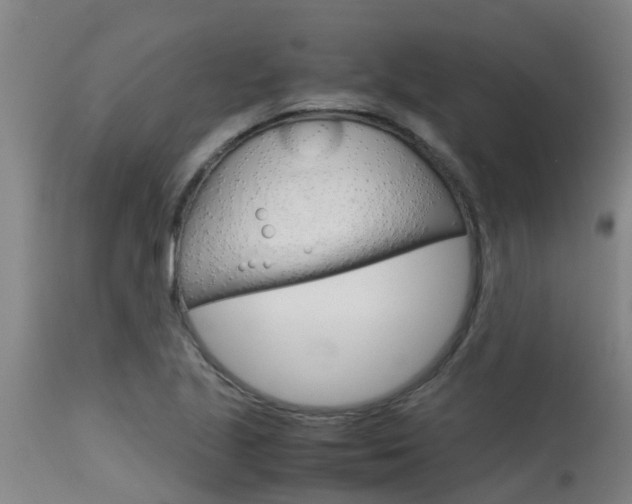 X0000115581221200911100946